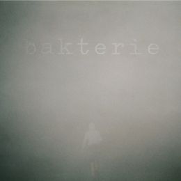 Bakterie - Wenn die Dummheit nicht wäre LP