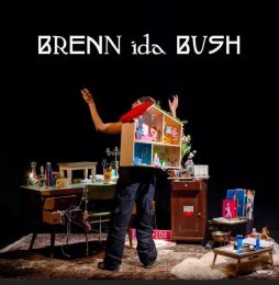 Bush.ida - Brenn ida bush 2xLP