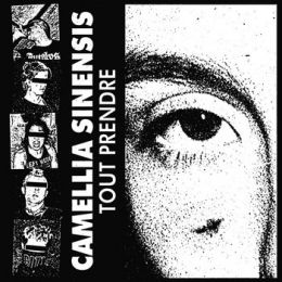 Camellia Sinensis - Tout prendre 7