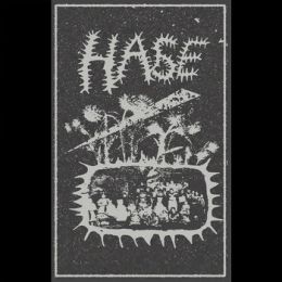 Hase - 14 Songs Tape