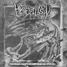 Hatefilled - Violent disembowelment of hatred LP