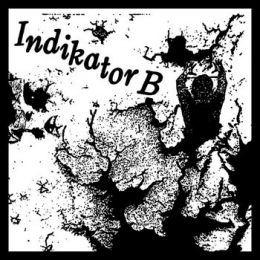 Indikator B - s/t 7"