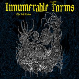 Innumerable Forms - The fall down Tape