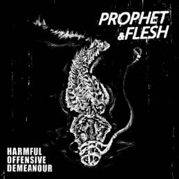 Prophet & Flesh - Harmful offensive demeanour EP 7"