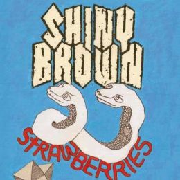 Shiny Brown - Strawberries 7