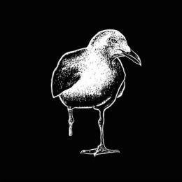 Stiff Richards - s/t LP