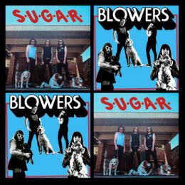 S.U.G.A.R. / Blowers - Split 10