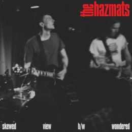 Hazmats, The - Skewed view 7
