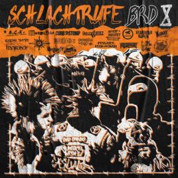 V/A - Schlachtrufe BRD Vol. X 2xLP