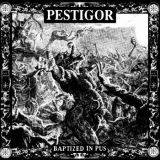 Pestigor - Baptised in pus LP (schwarzes Vinyl) Pestigor - Baptised in pus LP (schwarzes Vinyl)