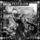 Pestigor - Baptised in pus LP (schwarzes Vinyl)