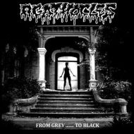 Agathocles - From grey ... to black LP