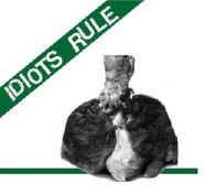 Idiots Rule - s/t 7