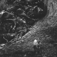 Internal - Instinct 7