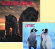 Streit / Schwache Nerven - Split LP