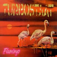 Turbostaat - Flamingo LP